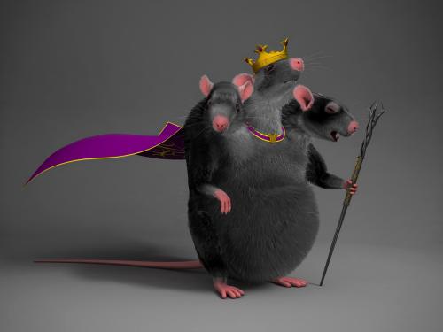 Крысы могут стать хозяевами на Земле после Апокалипсиса – ученые