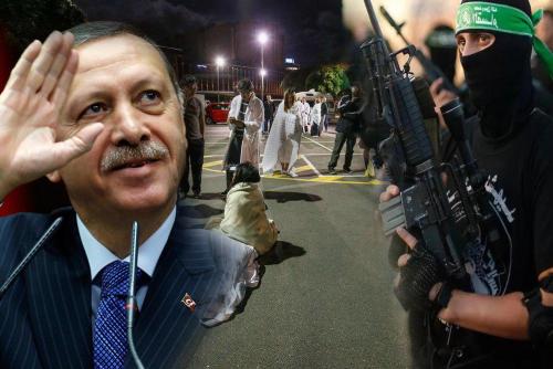 Чья бы корова мычала?: Эрдоган может быть причастен к теракту в Новой Зеландии - скрывается правда?