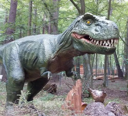 Астероид уничтожил динозавров, но привёл к процветанию лишайников – Учёные