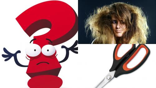 Волосы в пыль – не беда! 7 шагов по реанимации «убитой» шевелюры дала бьюти-блогер