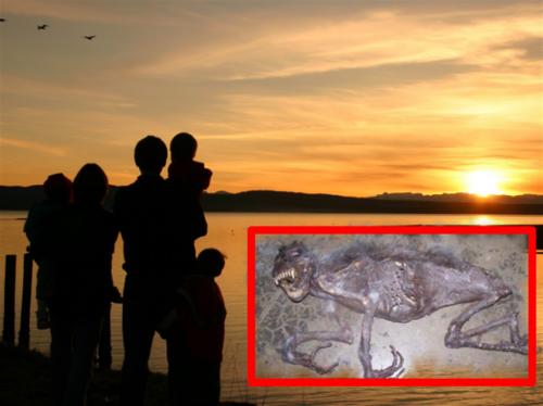 Последствия ядерной аварии: На пляже Северодвинска туристы нашли цербера-мутанта