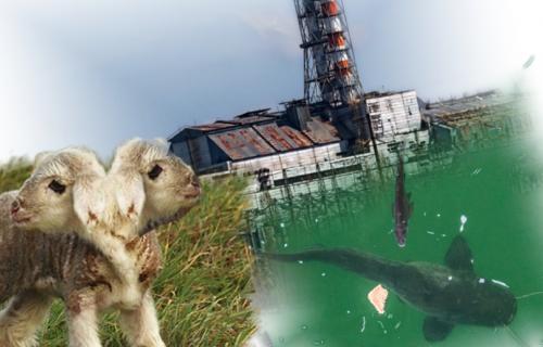 Чернобыльские «безголовые олени-мутанты» готовят атаку на Беларусь
