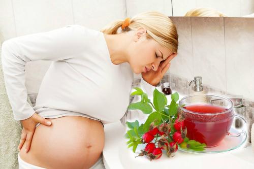 Токсикоз, прощай: Отвар из шиповника станет лучшим решением для беременных