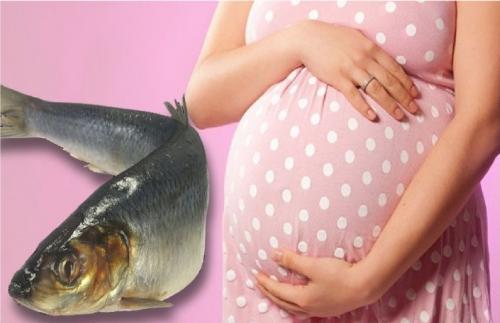 Селедка под пузом: Скандинавская диета сжигает вес при беременности