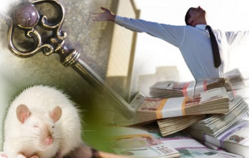 2020 год без хлопот: Эзотерик раскрыл обряд на успех в Год Крысы